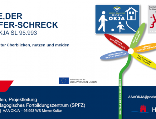 Workshop Titel Pepe der Surfer-Schreck zu Meme-Kultur überblicken, nutzen und meiden